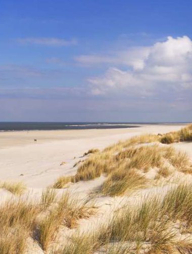 Vakantiehuis Terschelling - strand