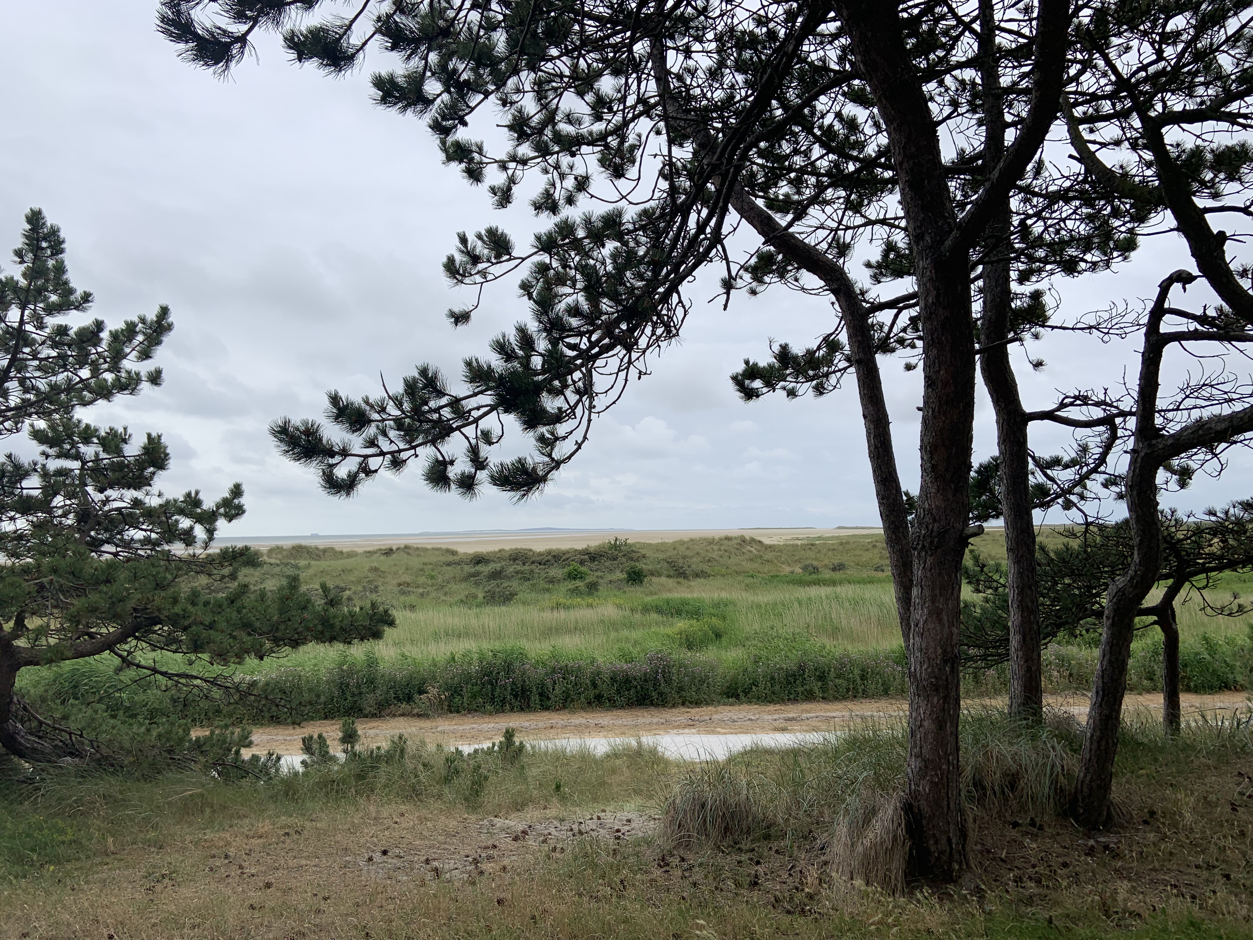 Vakantiehuis Terschelling - omgeving