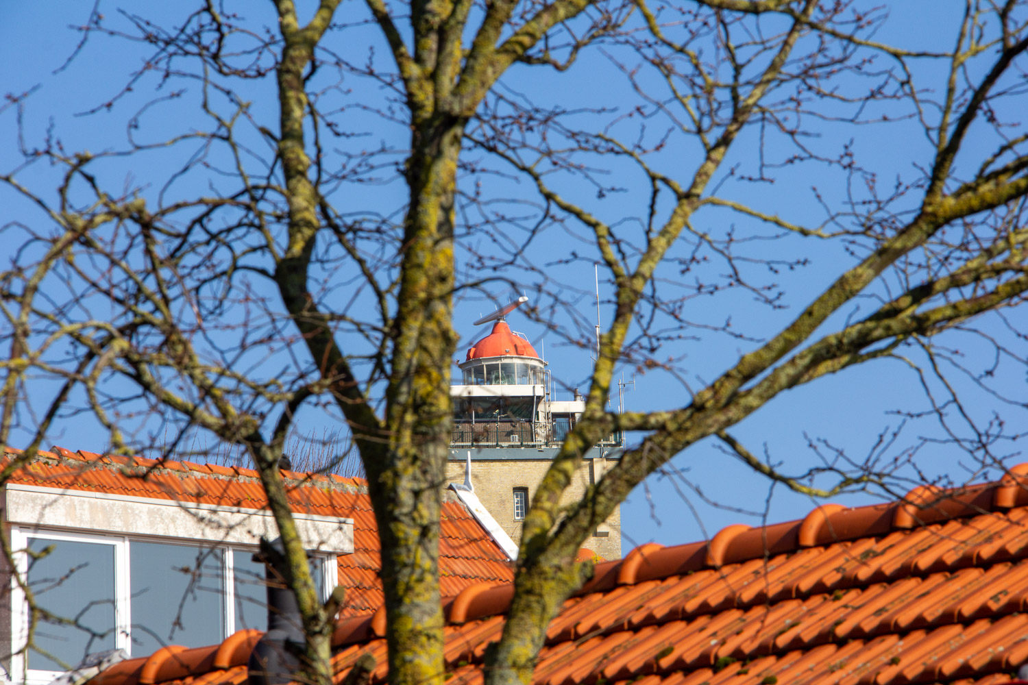 Vakantiehuis Terschelling - omgeving